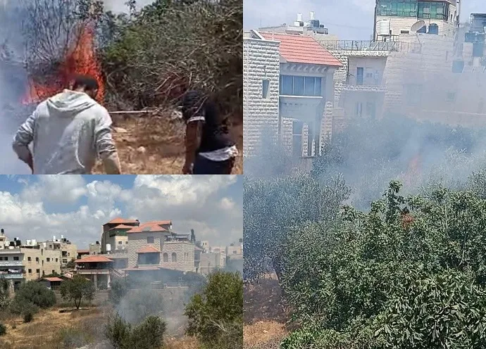 اندلاع حريق في أراضٍ ببيت عنان جراء قنابل غاز اطلقها العدو الإسرائيلي وهدم منازل في مدينة رهط
