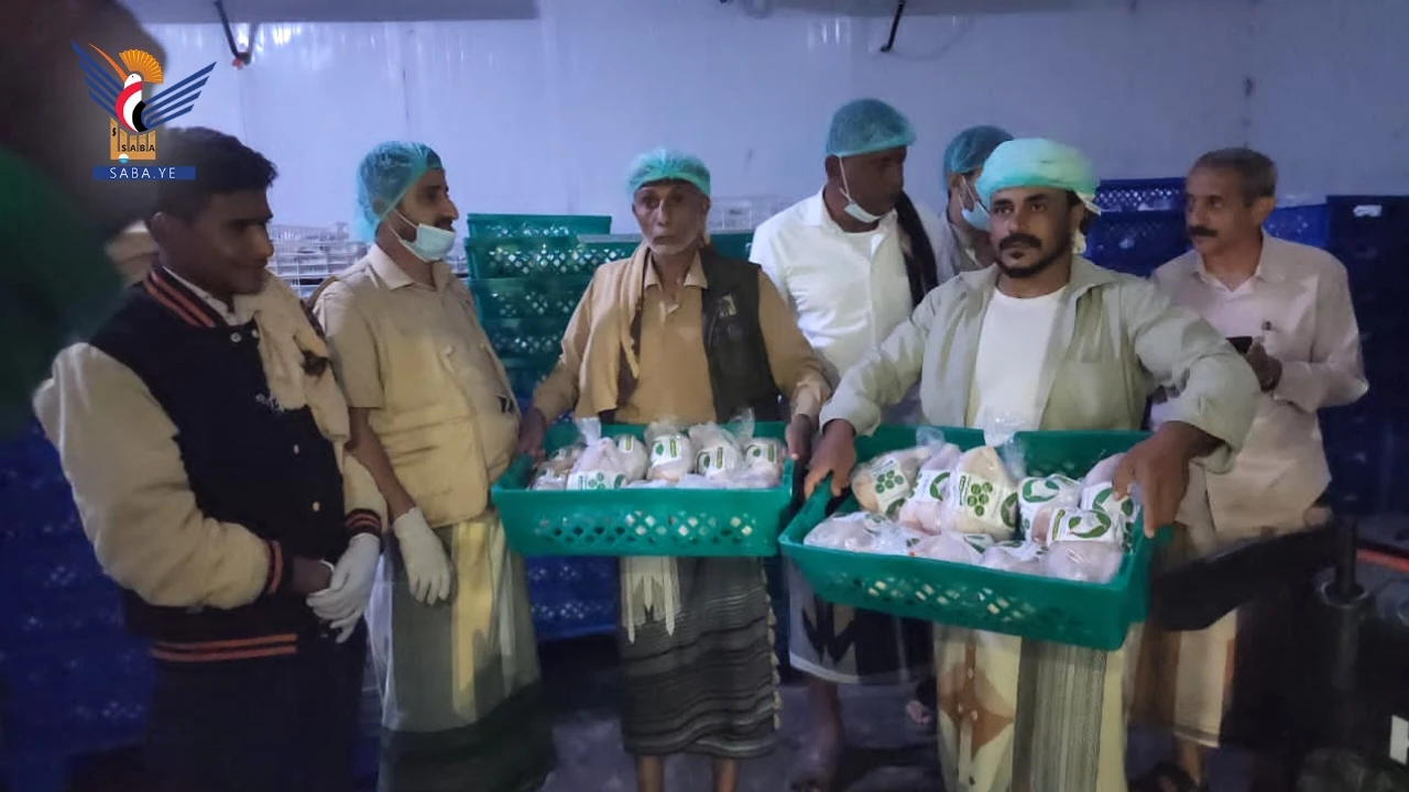 تدشين منظومة تنظيم قطاع الدواجن في مديرية باجل بالحديدة