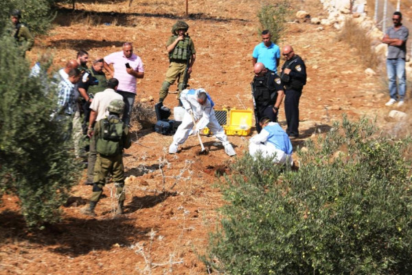 "زيتون المقاومة".. موسم الحصاد يتحول إلى جبهة صمود في وجه المستوطنين "زيتون المقاومة".. موسم الحصاد يتحول إلى جبهة صمود في وجه المستوطنين