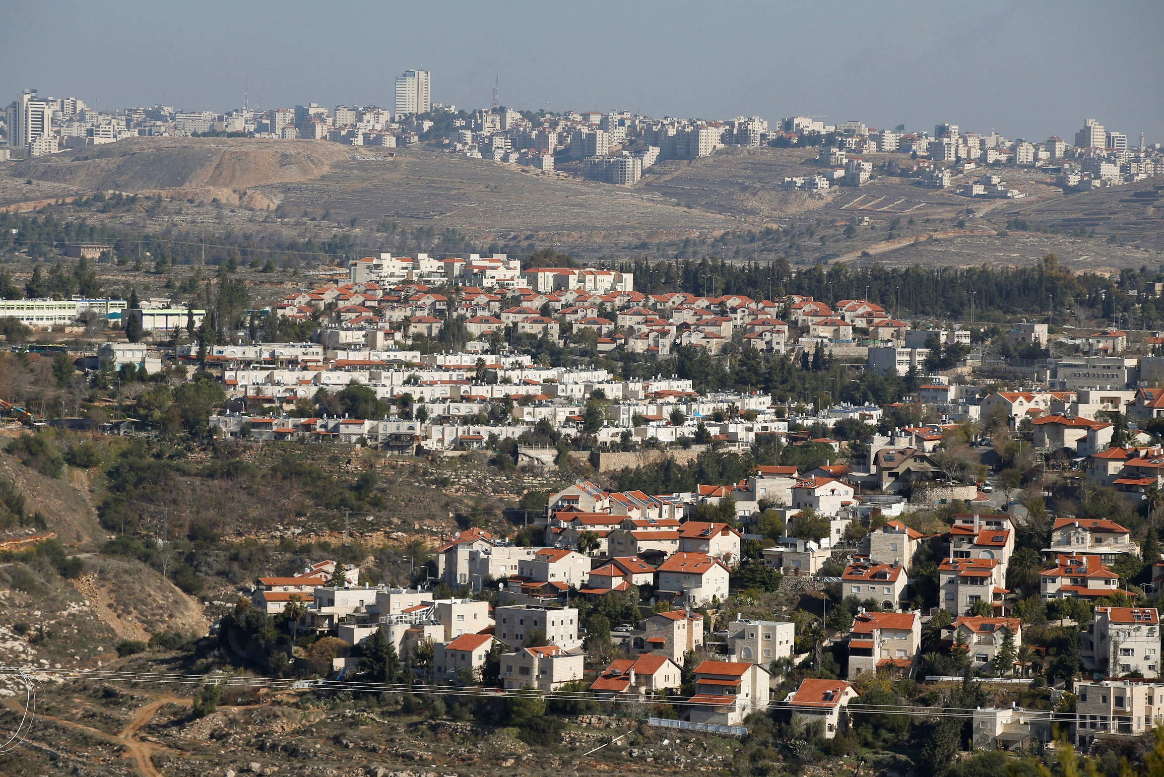 مقاومة الجدار والاستيطان: قرار إقامة مستوطنات جديدة حرب إبادة للجغرافيا الفلسطينية