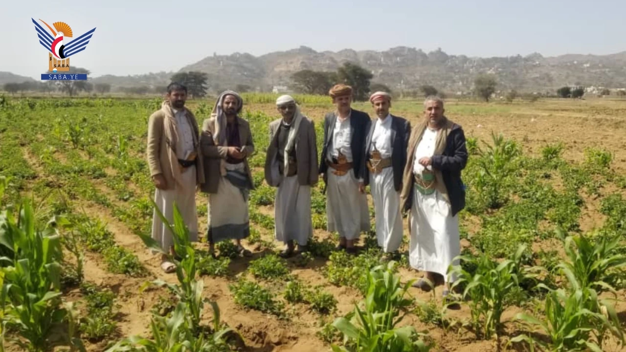 المحويت .. فريق هندسي لدراسة تنفيذ شبكات ري في حاجزي ضماط وحلوان بمديرية الرجم 