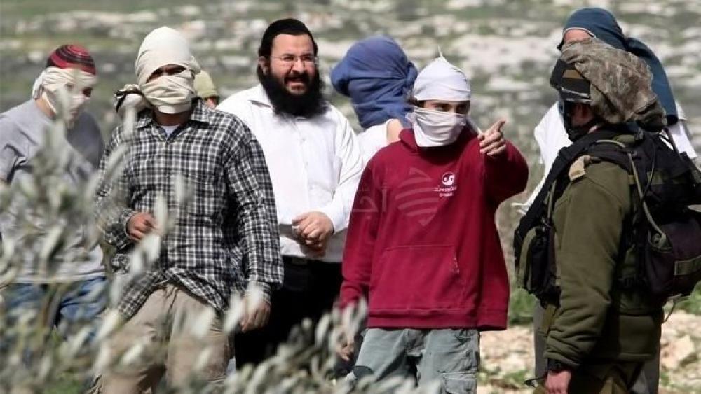 تواصل اعتداءات المستوطنين على مزارع ومواطنين ومنشآت في الضفة الغربية 