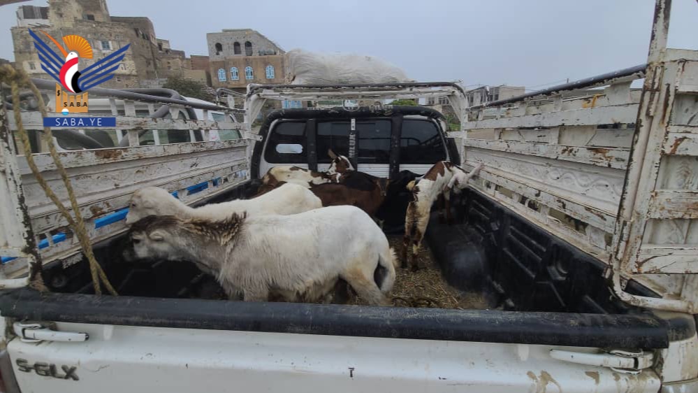 المحويت.. حفاش تسير قافلة عيدية للمرابطين في جبهة الزاهر 