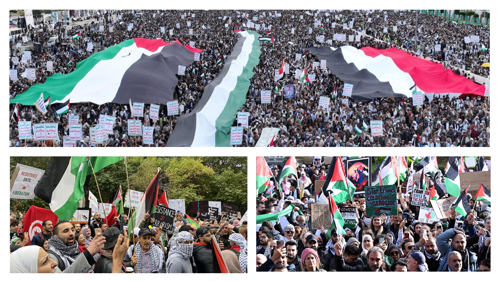 نُخب يمنية وعربية لـ"السياسية": ندعو إلى تصعيد الضغط الشعبي وتفعيل سلاح المقاطعة نصرةً لغزة