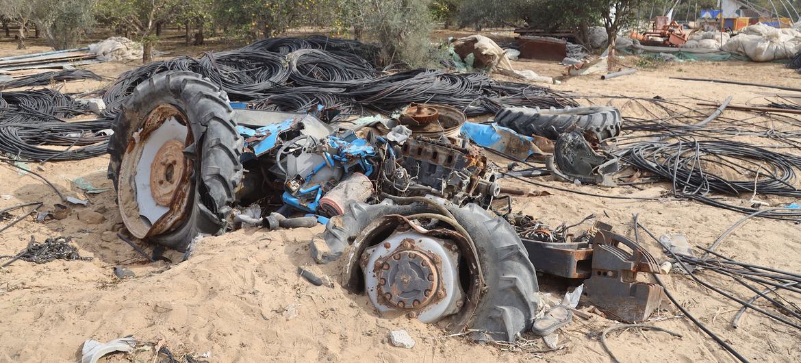 الأغذية العالمي: المزارعون في غزة يواجهون تحديات هائلة