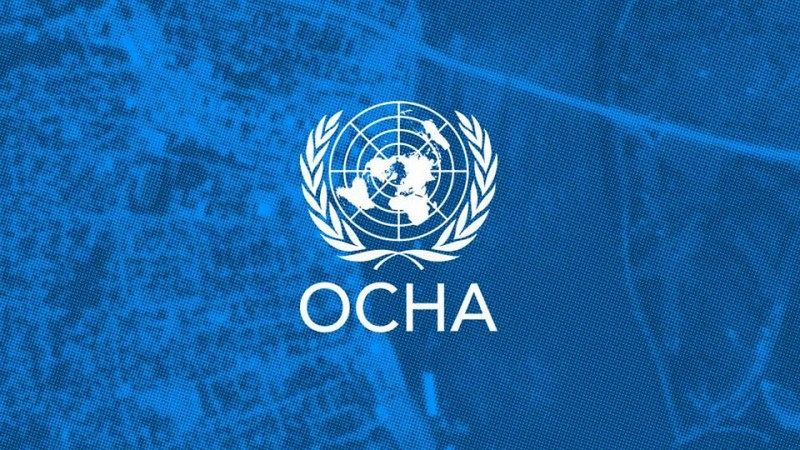 الأمم المتحدة: عنف المستوطنين المدعوم من "إسرائيل" سبب رئيسي للتهجير القسري في فلسطين