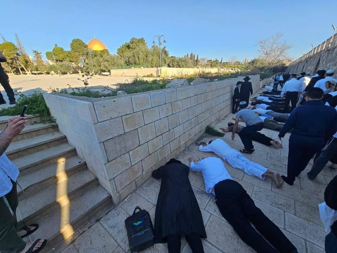 مستوطنون يقتحمون الأقصى في خامس أيام "الأنوار العبري" ويؤدون السجود الملحمي