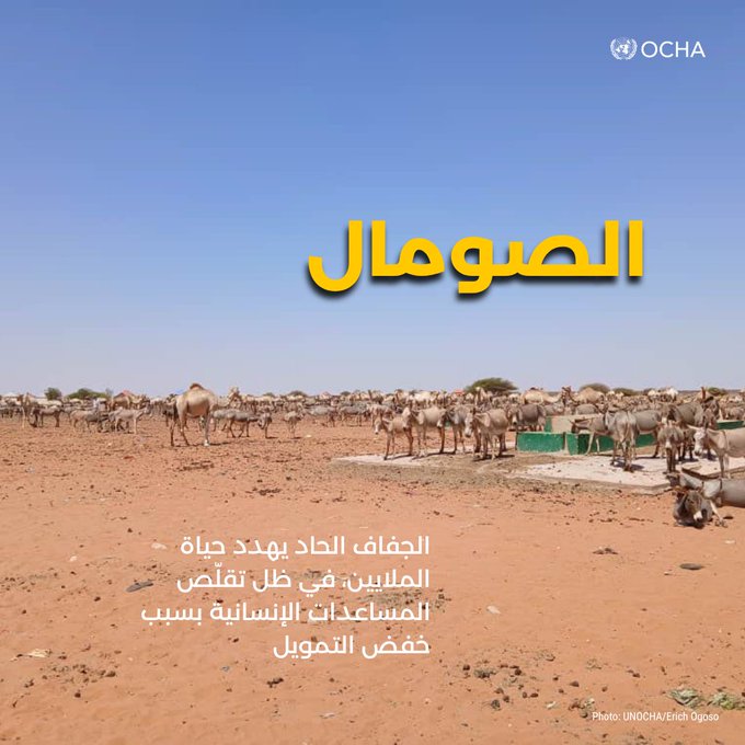 الأمم المتحدة: الملايين معرضون للخطر في الصومال ومقديشو أعلنت حالة طوارئ وطنية