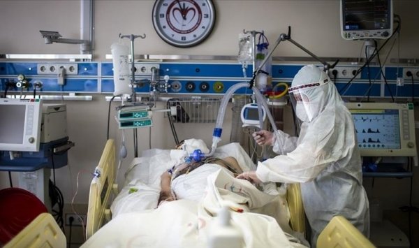 عالميا.. إصابات كورونا تتجاوز 68.45 مليون عالميا.. إصابات كورونا تتجاوز 68.45 مليون