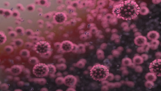 احصائية وفيات الدول الاكثر تضررا من كورونا احصائية وفيات الدول الاكثر تضررا من كورونا