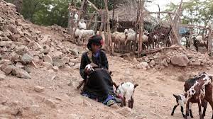 اليمن وطريق القرويين