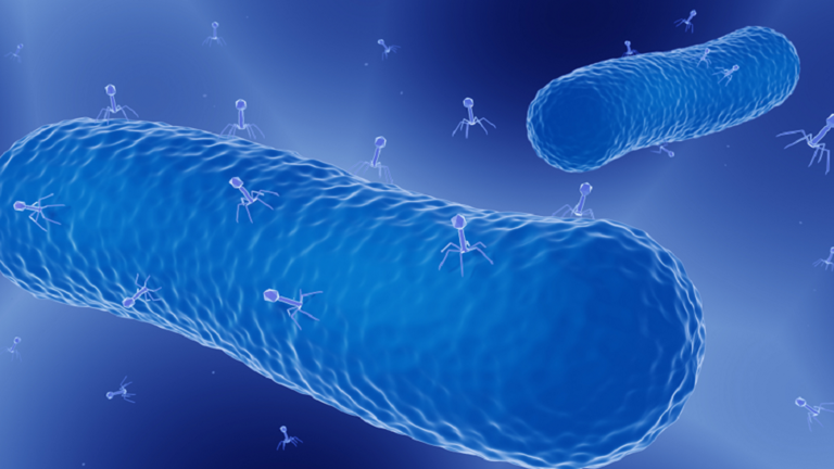 علماء يطورون علاجا ثوريا جديدا يمكنه محاربة البكتيريا المقاومة للأدوية!