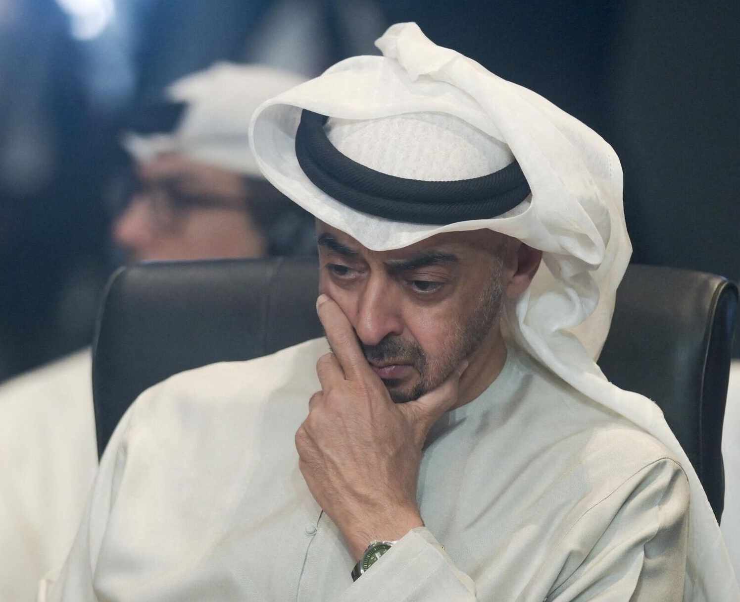 حفار قبور الديمقراطية