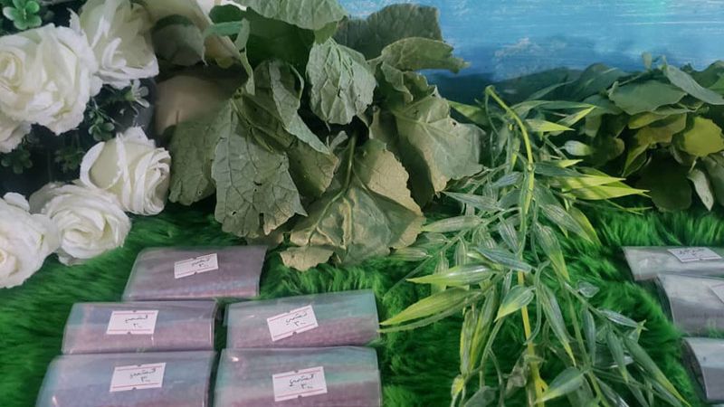 الجهاد الزراعي يعزز صمود اليمن الجهاد الزراعي يعزز صمود اليمن