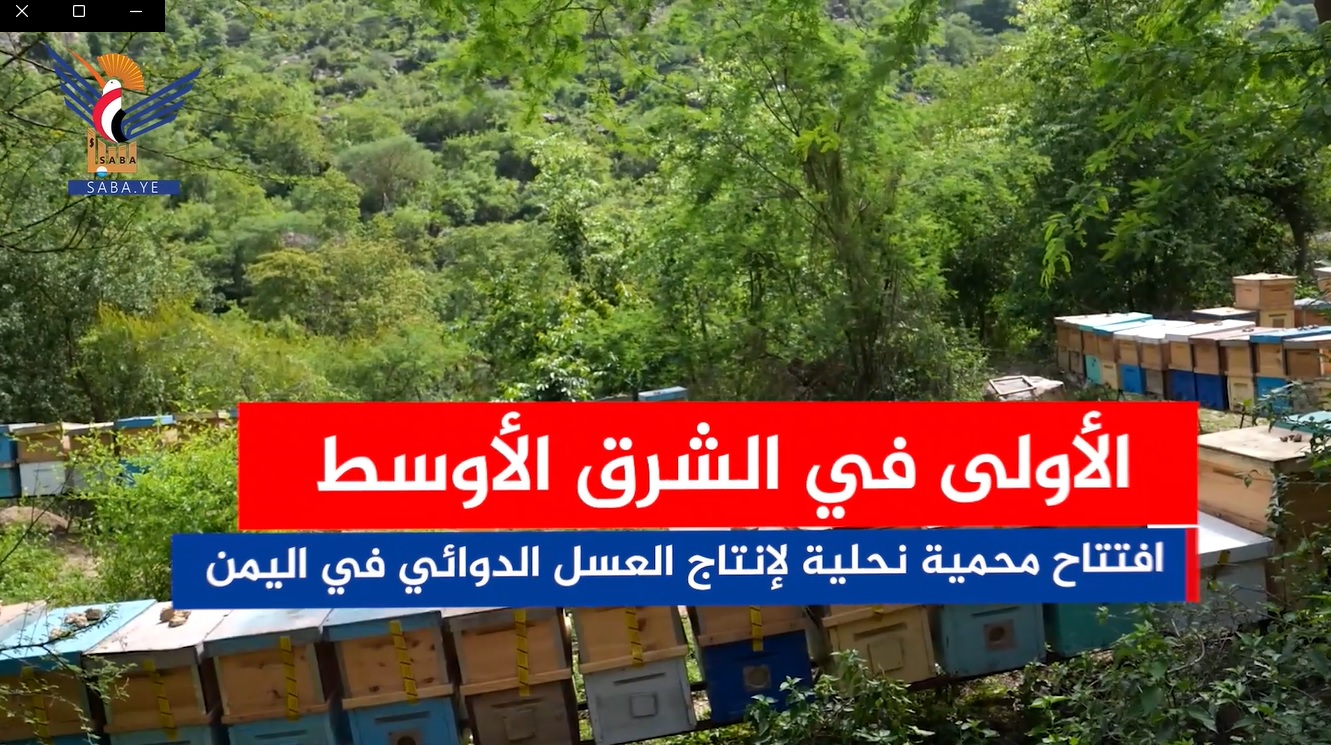 افتتاح المحمية النحلية الأولى لإنتاج العسل الدوائي في محمية برع افتتاح المحمية النحلية الأولى لإنتاج العسل الدوائي في محمية برع