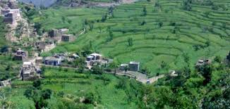 صدى ريمة …إصدار جديد صدى ريمة …إصدار جديد