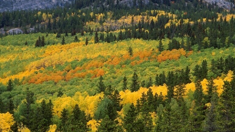 وزير روسي يعد بـ 10 آلاف سنة دفء وزير روسي يعد بـ 10 آلاف سنة دفء