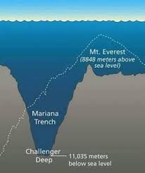 خندق ماريانا…… وعجائب الكائنات