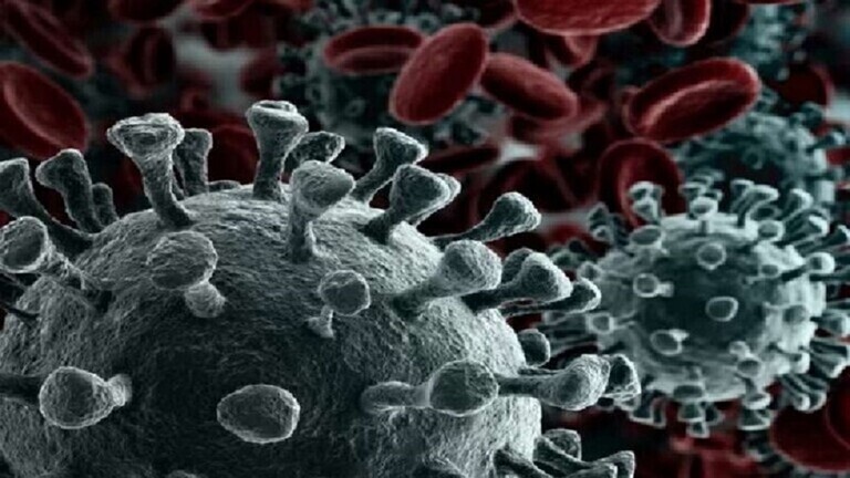 إصابات كورونا في أنحاء العالم تتجاوز الـ10ملايين والوفيات زهاء نصف مليون إصابات كورونا في أنحاء العالم تتجاوز الـ10ملايين والوفيات زهاء نصف مليون