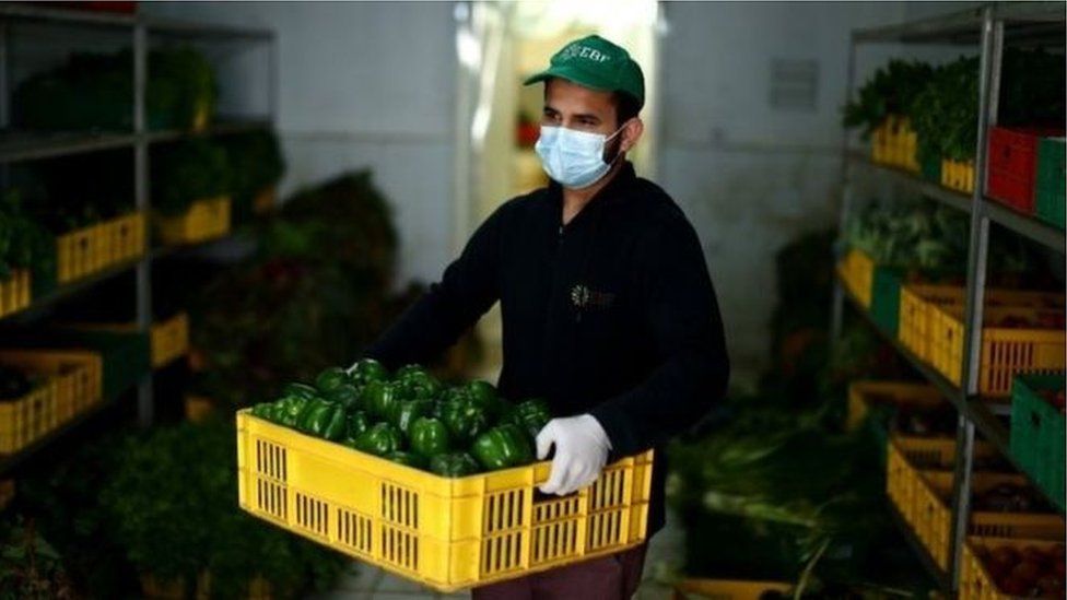 الأمن الغذائي في الشرق الأوسط وسط جائحة فيروس كورونا الأمن الغذائي في الشرق الأوسط وسط جائحة فيروس كورونا