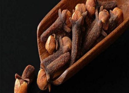 فوائد رائعة مضغ القرنفل على الريق فوائد رائعة مضغ القرنفل على الريق