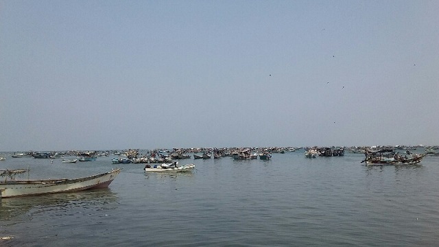 وزارة الثروة السمكية تعلن فتح موسم اصطياد الجمبري الساحلي في البحر الأحمر