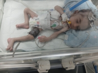 عائلة "عسلية" في غزة : شقيقان يقتلهما "موت الأعصاب" وسوء التغذية.. والعدو يحاصر الأمل