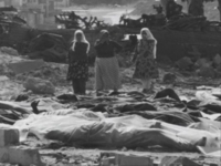 في ذكرى "أم المجازر".. مجزرة "دير ياسين"