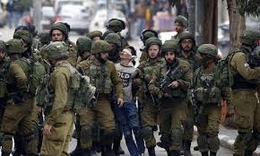 قوات الاحتلال تعتقل 13 فلسطينيا من الضفة بينهم أطفال