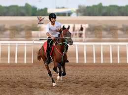 منتصف نوفمبر المقبل منتخب الفروسية يبدأ معسكراً تدريبياً بصنعاء