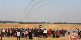 إصابة 13 فلسطينياً بالرصاص وقنابل الغاز في اعتداء للاحتلال شرق قطاع غزة