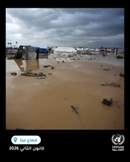 "أونروا": ما كان مجرد عاصفة موسمية أصبح أزمة تهدد الحياة في غزة