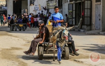خمسون يوما على استئناف العدوان .. عشرات الشهداء وتدمير منازل شرق غزة وبرفح