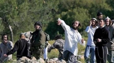 مستوطنون يعتدون على الفلسطينيين وممتلكاتهم في الضفة الغربية المحتلة