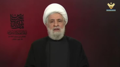 أمين حزب الله: اليمن هم شعلة الجهاد وأنموذجاً فريداً تمكن من ذل أميركا و"إسرائيل"