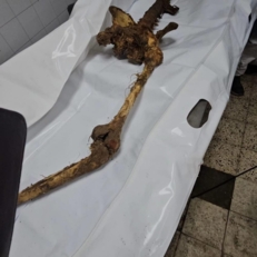 الادلة الجنائية: وضع الجثامين التي سلمها العدو الصهيوني لا تسمح بالتعرف عليها