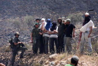 مستوطنون يعتدون على فلسطيني وزوجته ويسرقون أغنامهم في خربة الطويل جنوب نابلس