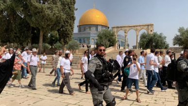 مستوطنون يقتحمون الأقصى المبارك بحماية مشددة من شرطة العدو الصهيوني مستوطنون يقتحمون الأقصى المبارك بحماية مشددة من شرطة العدو الصهيوني
