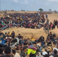 ارتفاع شهداء لقمة العيش بغزة إلى 1,772 شهيداً وأكثر من 12 ألفا و249 إصابة