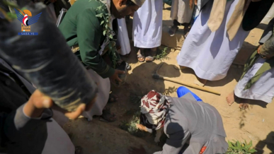 تدشين زراعة شتلات شجرة اللوز بالمدارس الصيفية في سحار بصعدة