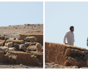 العدو الإسرائيلي يهدم منزلين في جبل المكبر شرق القدس.. ومستوطنون يطلقون مواشيهم في تجمع شلال العوجا شمال أريحا