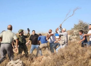 مستوطنون يعتدون على الفلسطينيين وممتلكاتهم بالضفة الغربية المحتلة