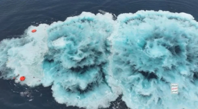 مؤسسُ "بروجِن": اليمنُ يفرضُ قانوناً جديداً على العالم