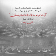 هيئة دولية: إخفاق أممي غير مسبوق في حماية المدنيين بغزة خلال عامين من الإبادة الجماعية