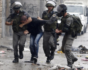 الإسرائيلي يعتقل 14 فلسطينيا في رام الله والبيرة  ومحافظة قلقيلية الإسرائيلي يعتقل 14 فلسطينيا في رام الله والبيرة  ومحافظة قلقيلية