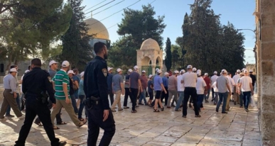 مركز فلسطيني:4100 مستوطن اقتحموا الأقصى خلال نوفمبر الماضي