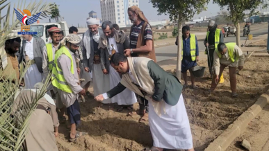 تدشين موسم التشجير بمدينة صعدة