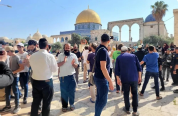 مستوطنون يقتحمون المسجد الأقصى مستوطنون يقتحمون المسجد الأقصى