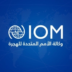 المنظمة الدولية للهجرة تجدد دعوتها لوصول المساعدات بشكل آمن ودون أي عوائق إلى غزة