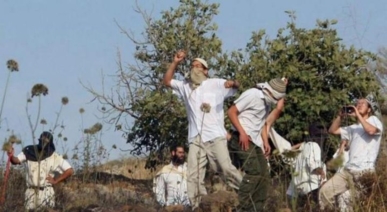 المستوطنون يوسعون اعتداءاتهم ضد الفلسطينيين وممتلكاتهم في الضفة
